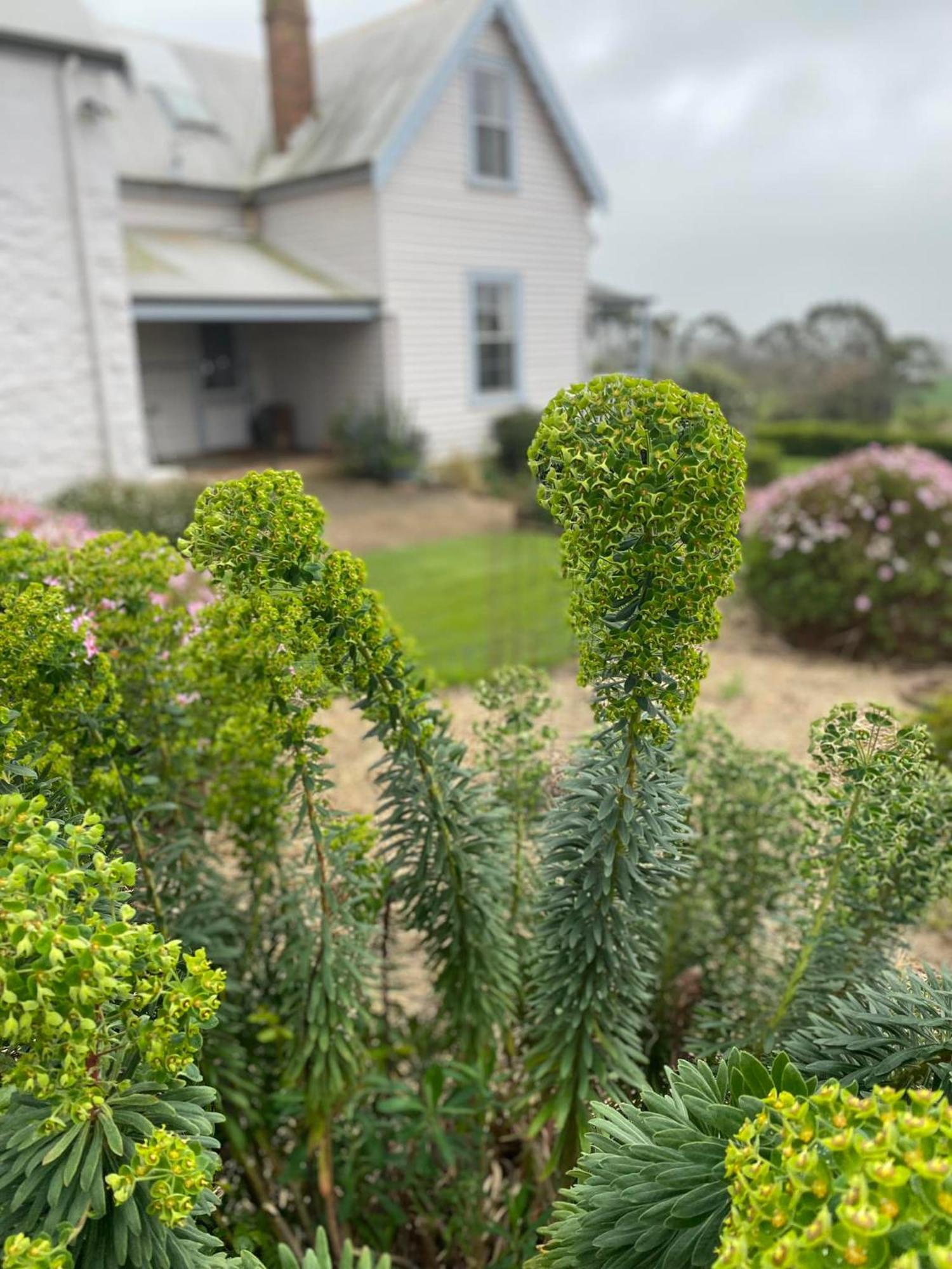 Robin Hoods Well Farm Stay Sassafras Exterior photo