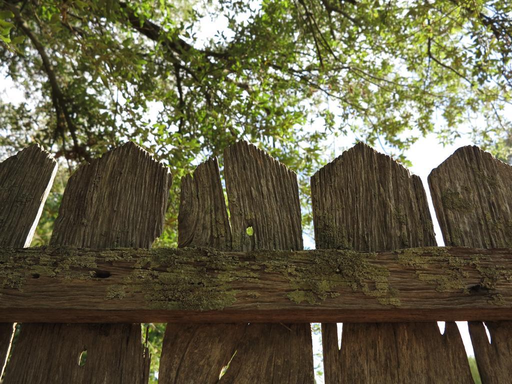 Robin Hoods Well Farm Stay Sassafras Exterior photo